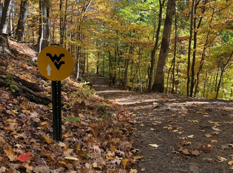 Core Arboretum, United States